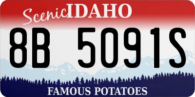 ID license plate 8B5091S
