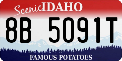 ID license plate 8B5091T