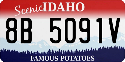 ID license plate 8B5091V