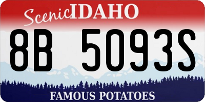 ID license plate 8B5093S