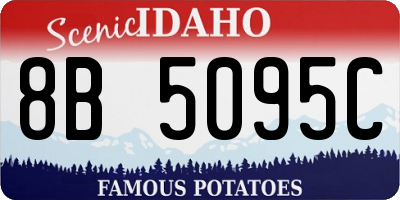 ID license plate 8B5095C