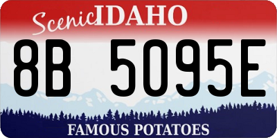 ID license plate 8B5095E