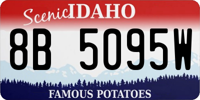 ID license plate 8B5095W