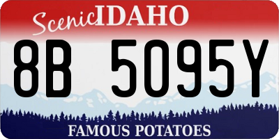 ID license plate 8B5095Y