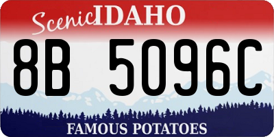 ID license plate 8B5096C