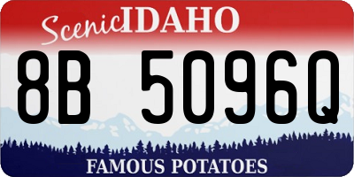 ID license plate 8B5096Q