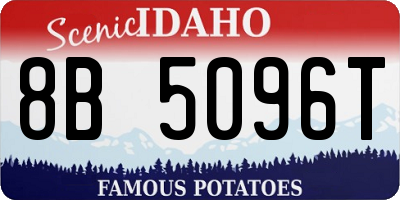 ID license plate 8B5096T