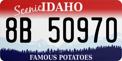 ID license plate 8B5097O
