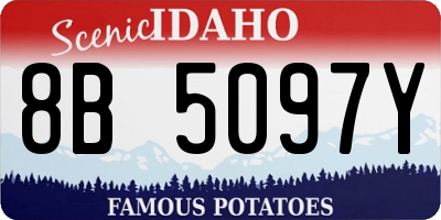 ID license plate 8B5097Y