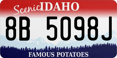 ID license plate 8B5098J