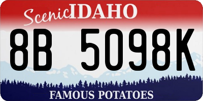 ID license plate 8B5098K