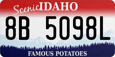 ID license plate 8B5098L