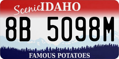 ID license plate 8B5098M