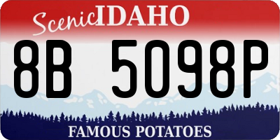 ID license plate 8B5098P
