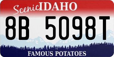 ID license plate 8B5098T