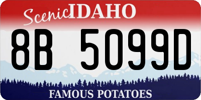 ID license plate 8B5099D