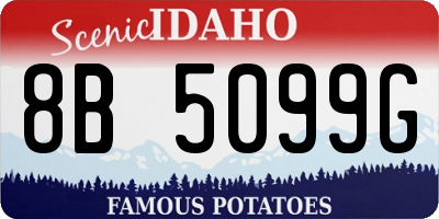 ID license plate 8B5099G
