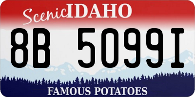 ID license plate 8B5099I