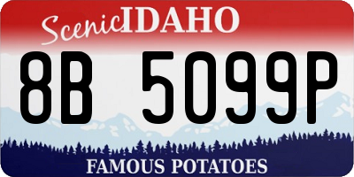 ID license plate 8B5099P