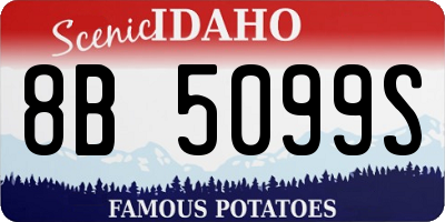 ID license plate 8B5099S