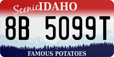 ID license plate 8B5099T