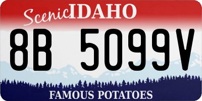 ID license plate 8B5099V