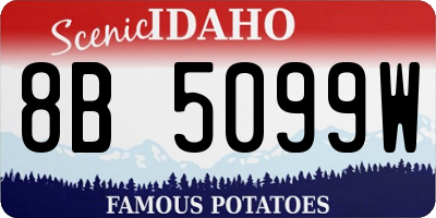 ID license plate 8B5099W