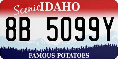 ID license plate 8B5099Y