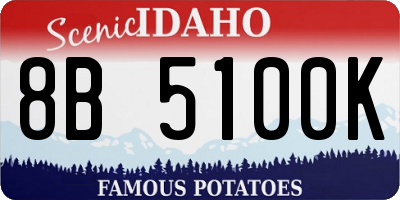 ID license plate 8B5100K