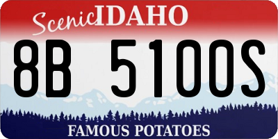 ID license plate 8B5100S