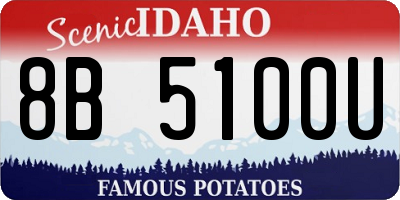 ID license plate 8B5100U