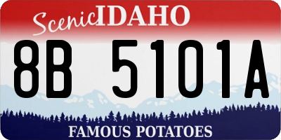 ID license plate 8B5101A