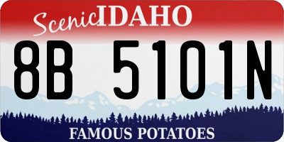 ID license plate 8B5101N