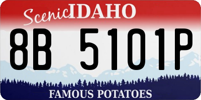 ID license plate 8B5101P