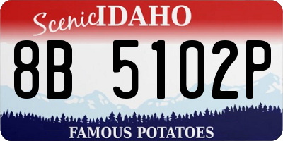 ID license plate 8B5102P