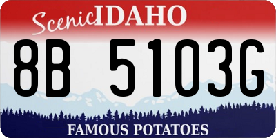 ID license plate 8B5103G