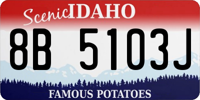 ID license plate 8B5103J