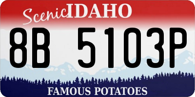 ID license plate 8B5103P