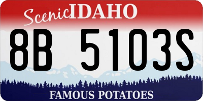 ID license plate 8B5103S