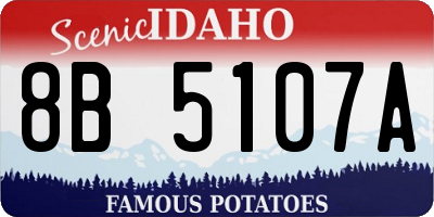 ID license plate 8B5107A