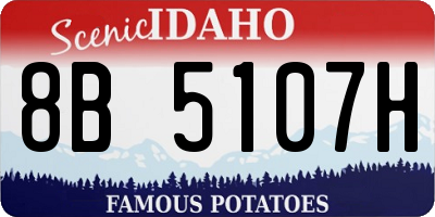 ID license plate 8B5107H