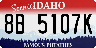 ID license plate 8B5107K