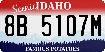 ID license plate 8B5107M