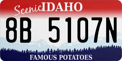 ID license plate 8B5107N
