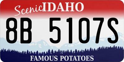 ID license plate 8B5107S