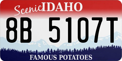 ID license plate 8B5107T