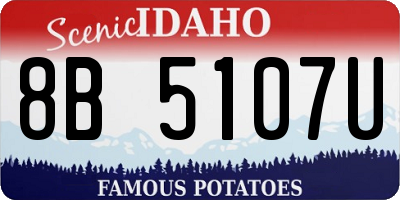 ID license plate 8B5107U