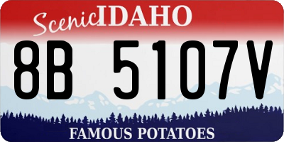 ID license plate 8B5107V