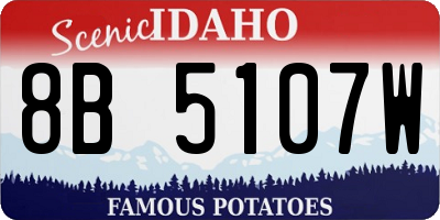 ID license plate 8B5107W