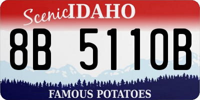 ID license plate 8B5110B